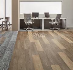 Forbo Allura Click Pro 63410CL5 hazelnut timber фото 2 | FLOORDEALER